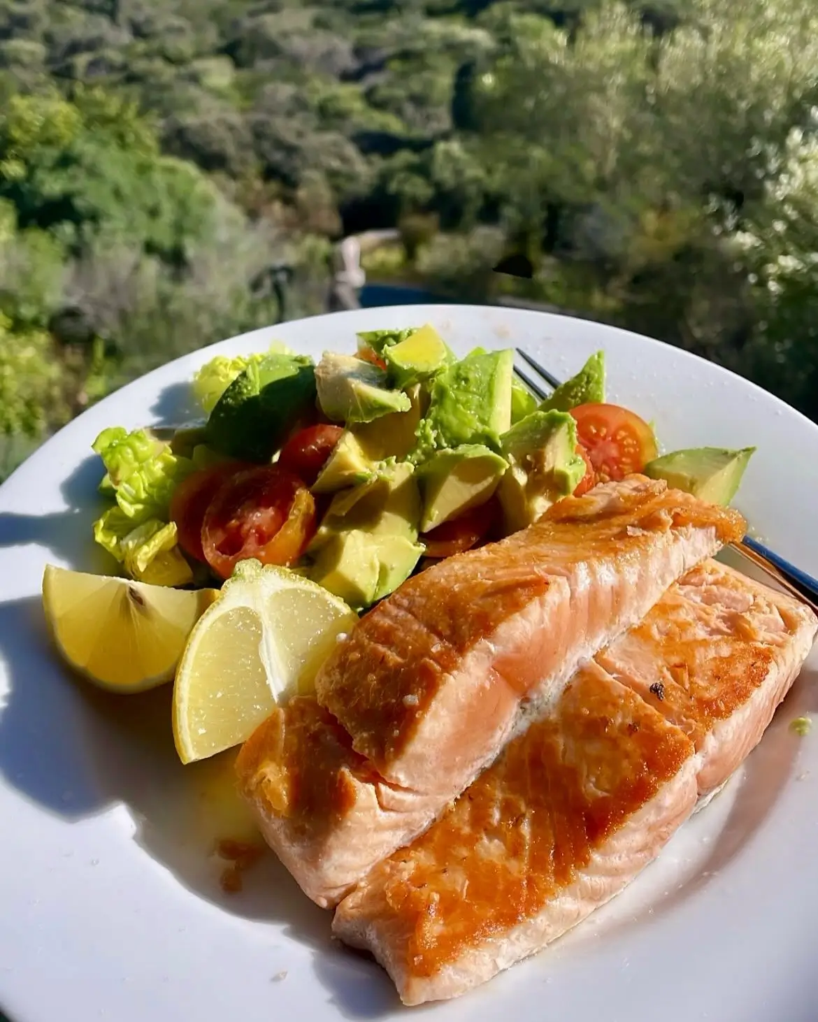 Healthy grilled salmon meal with vegetables